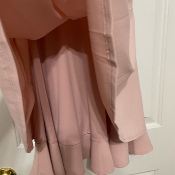 Petite Blush dress - Picture 12 of 14